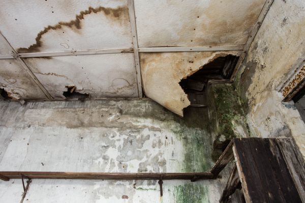 Cost of Water Damage Service in Kirkland