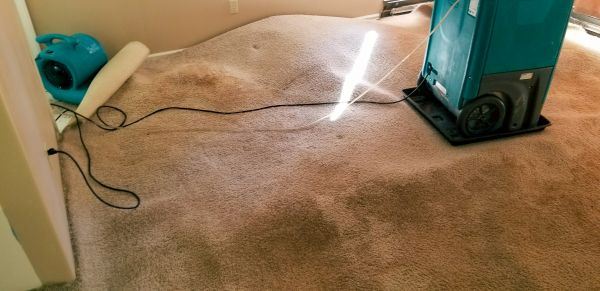 Cost of Flood Damage Cleanup in Kirkland