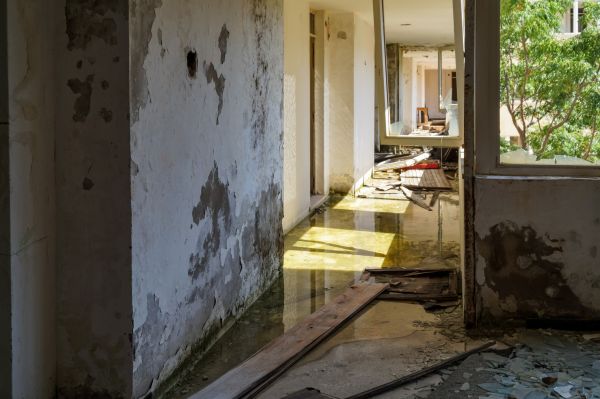 Cost of Water Removal Service in Kirkland