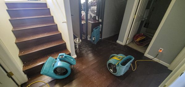Cost of Water Damage Remediation in Kirkland
