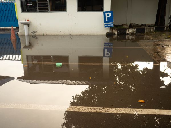 Cost of Storm Damage Repair in Kirkland
